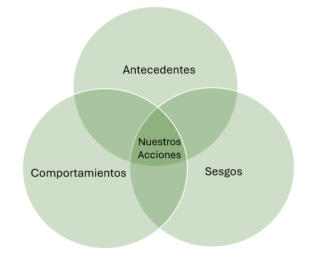 Diagrama de Venn de las 3 B
